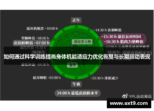 如何通过科学训练提高身体机能适应力优化恢复与长期运动表现